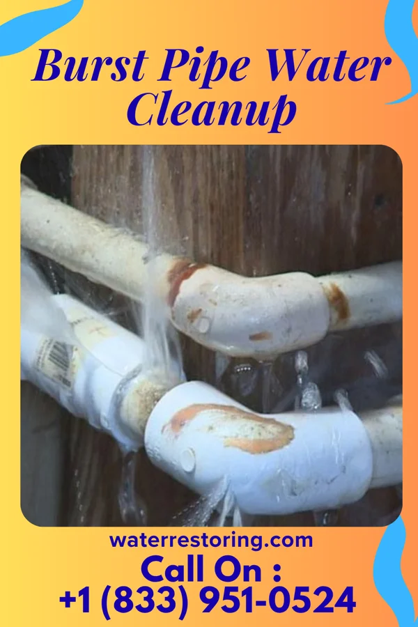 Burst Pipe Water Cleanup in Bear River, WY
