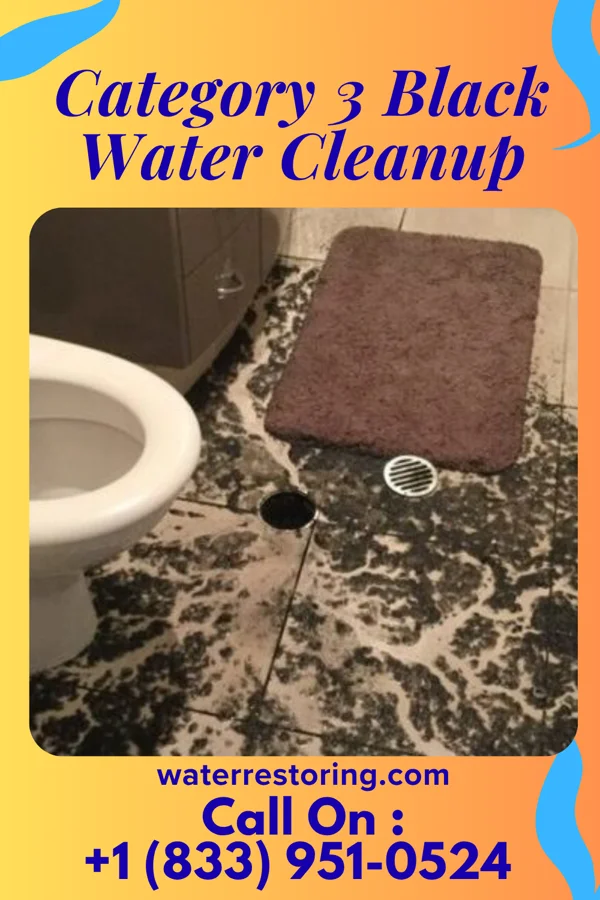 Category 3 Black Water Cleanup in Bear River, WY