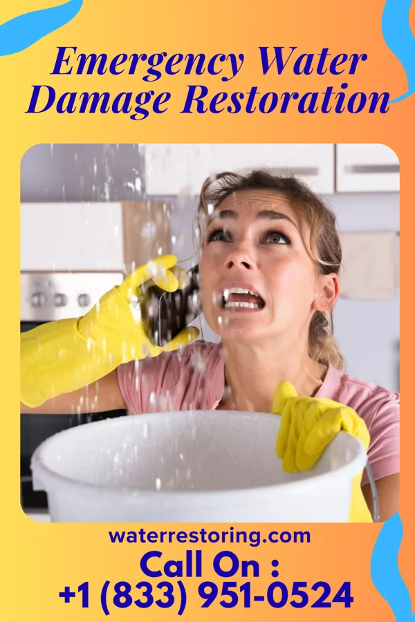 Emergency Water Damage Restoration in Bear River, WY