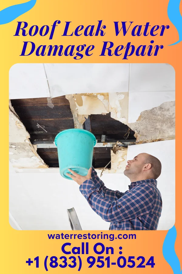Roof Leak Water Damage Repair in Bear River, WY